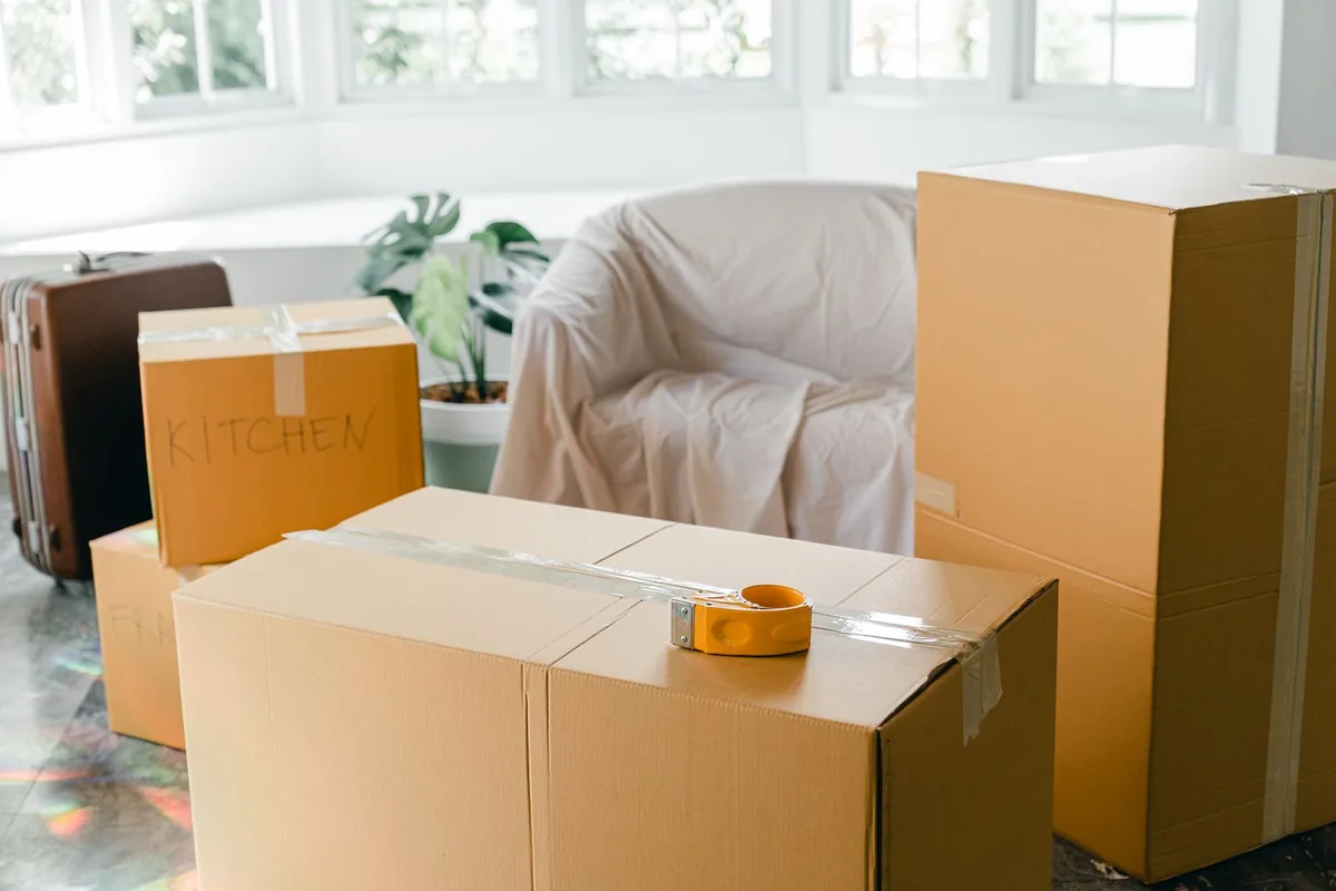 Hoarding Cleanup in Woodland Heights, PA